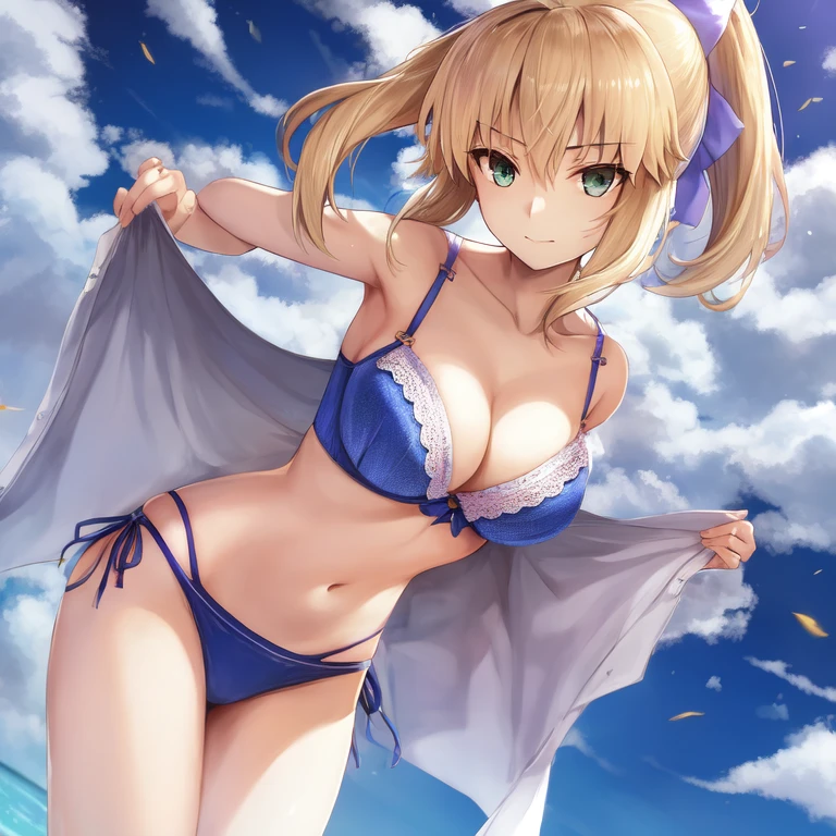 [Holara] Anime style Fate Saber Bra [Illustration]